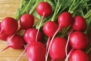 با ریشه این صیفی دم دستی با تیروئید پرکار و کم کار خداحافظی کنید