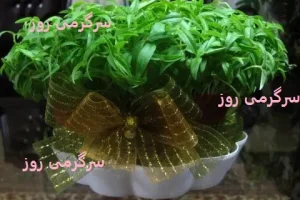 آموزش کاشت سبزه جو برای عید نوروز