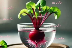 آموزش کاشت سبزه لبو برای عید