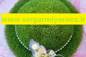 آموزش کاشت سبزه شاهی برای عید نوروز
