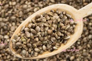 این دانه ابر غذا چربی سوز قند خون را کنترل و سلول‌های کبد را ترمیم می کند