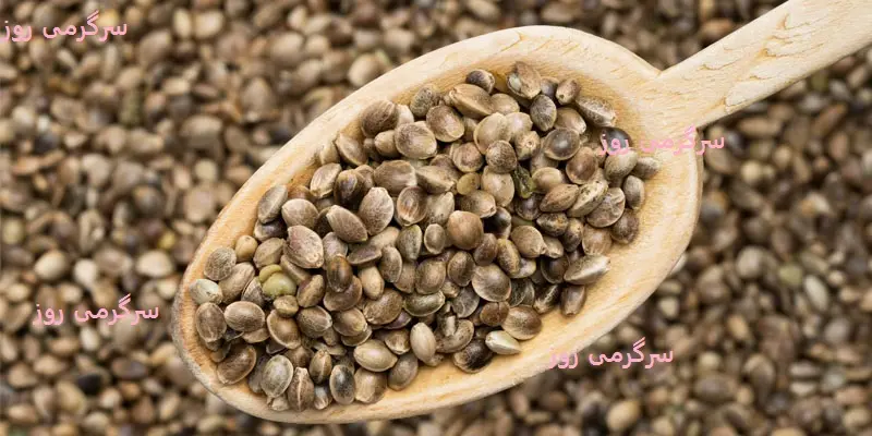 این دانه ابر غذا چربی سوز قند خون را کنترل و سلولهای کبد را ترمیم می کند