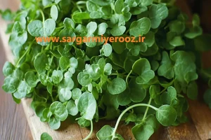آب این سبزی سرشار از ویتامین c برای سلامت قلب و پوکی استخوان مفید است