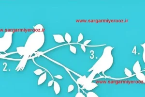 یک پرنده را انتخاب کنید و هدف خود را کشف کنید | تست شخصیت شناسی