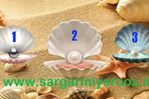 یک مروارید انتخاب کنید و بدانید که آینده مالی شما در 1404 چگونه خواهد بود | تست شخصیت شناسی