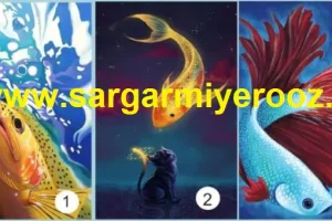 با انتخاب یک ماهی ببینید در سال نو چه چیزی دریافت می کنید | تست شخصیت شناسی
