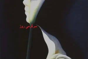 تست شخصیت شناسی | بگو اول چی دیدی تا بگم چقدر حساس و زود رنج هستی