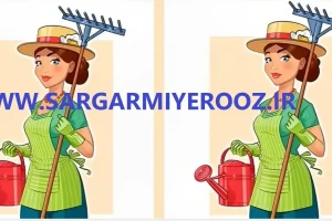اگه فکر میکنی زرنگی تو 11 ثانیه 3 اختلاف عکس هارو پیدا کن | تست هوش
