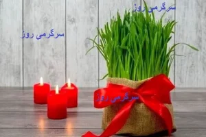 آموزش کاشت سبزه برنج برای عید نوروز