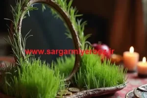 آموزش کاشت سبزه روی آینه برای عید نوروز