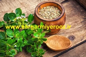 مرزنجوش با ترکیبات ضدالتهابی و آنتی‌اکسیدانی یک اکسیر سلامتی است
