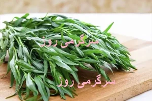 ترخون خشک و خاصیت ضدباکتریایی قوی آن در رفع بوی بد دهان