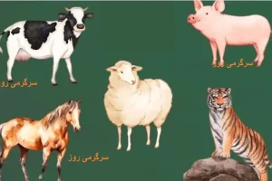 حیوان مورد علاقه خود را انتخاب کنید و در 45 ثانیه بفهمید که عزت نفس بالایی دارید یا خیر ؟ | تست شخصیت شناسی