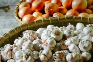 پیاز و سیرتان مدام جوانه میزند؟ | جوانه زدن پیاز و سیر را با این ترفند جادویی متوقف کنید