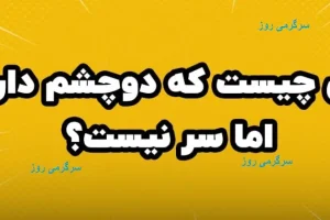 چیستان روز | آن چیست که دوچشم دارد اما سر نیست؟
