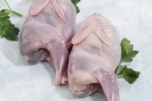 گوشت این پرنده جوانی را به سالمندان باز می گرداند | گوشتی که داروخانه طبیعت است