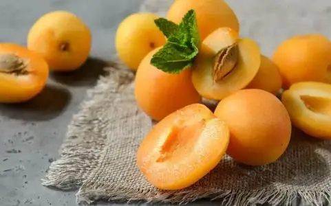 هسته این میوه را دور نریزید | از درمان فشار خون تا تقویت جنسی
