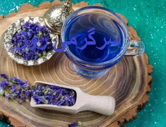 خواص درمانی بینظیر این گیاه برای سلامتی