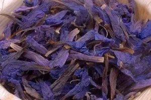 ۱۰ خاصیت شگفت‌انگیز گل گاو زبان که پزشکان تأیید می‌کنند