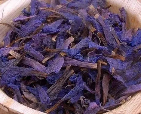 ۱۰ خاصیت شگفتانگیز گل گاو زبان که پزشکان تأیید میکنند