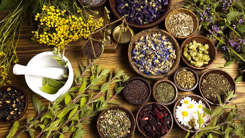 اسپاسم عضلانی را با این ۳ گیاه دارویی نابود کنید / رازهای طب سنتی برای درمان گرفتگی عضلات با گیاهان