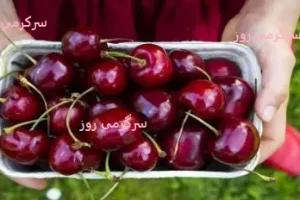 چرا باید ناشتا گیلاس بخوریم؟