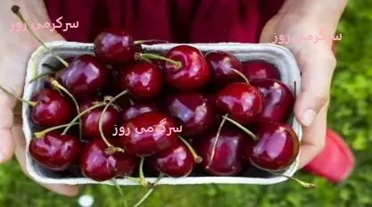 چرا باید ناشتا گیلاس بخوریم؟