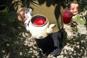 راز چای آلبالوی خوشمزه مادربزرگ ها فاش شد!/ نوشیدنی تابستانی محبوب قدیمیها