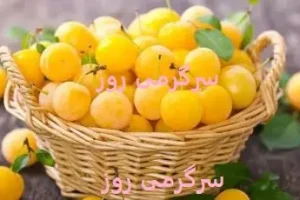 این میوه تابستانی از پوکی استخوان جلوگیری می‌کند