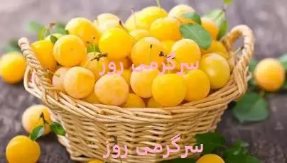 این میوه تابستانی از پوکی استخوان جلوگیری میکند