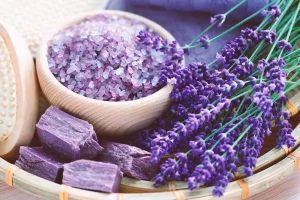 گیاهی که گنجینهای از خواص درمانی است