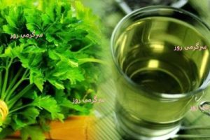سبزی جادویی که آهنش ۲ برابر اسفناج و ویتامینش ۳ برابر پرتقال است