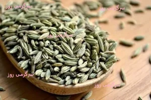 گیاهی برای همه دردهای زنانه! معجزه رازیانه برای زنان: درمانی طبیعی برای رحم، قاعدگی و یائسگی