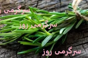 سلاح جدید علم در جنگ با آلزایمر و پارکینسون / یک گیاه، هزاران معجزه!