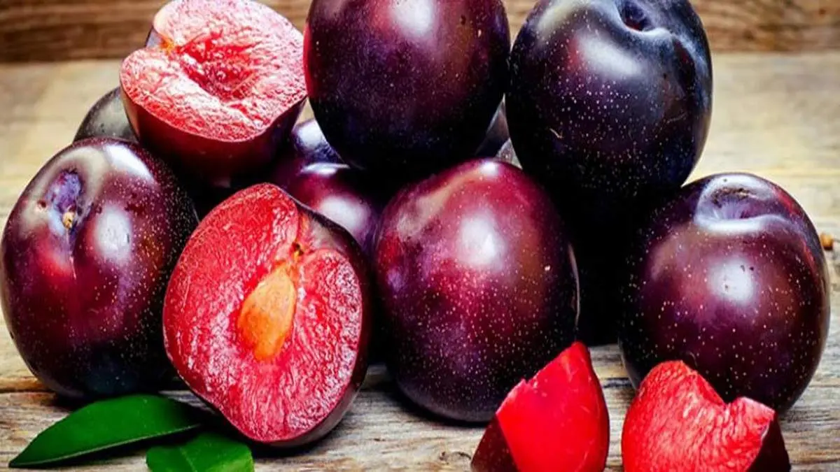 معجزه تابستانی: رفع عطش و ۱۰ خاصیت شگفتانگیز آلو سیاه برای سلامت بدن
