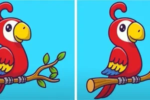 بازی فکری : اگه چشمای تیزبینی داری 3 تا تفاوت توی تصویر طوطی پیدا کن!