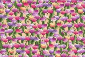 بازی فکری: اگر بینایی شما قوی است، در عرض 10 ثانیه زنگوله را پیدا کنید