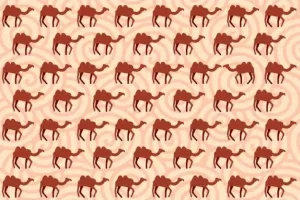 بازی فکری : اگر چشمات مثل عقابه 5 ثانیه وقت داری که شتر متفاوت و پیدا کنی!