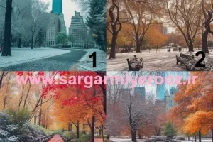 تست شخصیت شناسی : یک تصویر انتخاب کن تا بفهمی چقدر وفادار هستی!