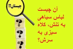 چیستان روز: آن چیست لباس سیاهی به تنش، کلاه سبزی به سرش؟