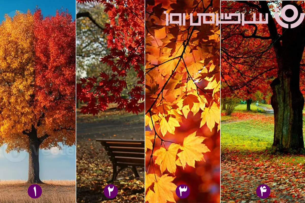 روانشناسی شخصیت
