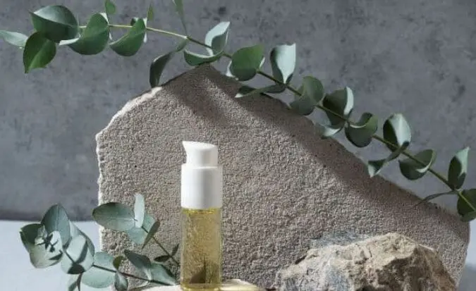 فواید روغن اکالیپتوس چیست؟ | از دفع موش و حشرات موذی تا درمان شپش و تبخال