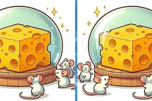 بازی فکری : اگه ضریب هوشیت بالای 100 باشه 3 تا تفاوت و تو 7 ثانیه پیدا می کنی!