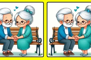 بازی فکری : آیا می‌توانید ۳ تفاوت زوج پیر را در ۱۴ ثانیه پیدا کنید؟