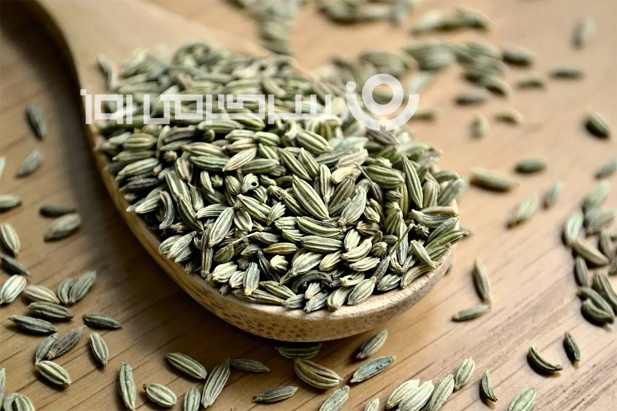 این گیاه و این همه خاصیت؟ | ضد سرطان بودن این گیاه رو هم طب سنتی تایید کرده هم طب جدید + فیلم