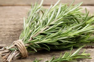 با این گیاه شگفت‌انگیز و باورنکردنی لاغر شو