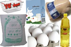 خرید رایگان 11 قلم کالای اساسی شروع شد / عیدی دولت پزشکیان به مردم