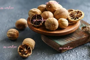 آموزش تهیه لیمو عمانی خانگی و پودر آن | ترفند بازاری و بدون تلخی لیمو عمانی خانگی
