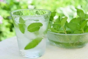 فرمول طلایی فریز کردن نعناع برای استفاده طولانیمدت | با این ترفند همیشه نعناع تازه داریم