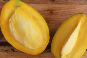 سوپرفودی قدرتمند برای مردان! | کلید سلامت و توان جنسی مردان در طب سنتی و مدرن در هسته این میوه